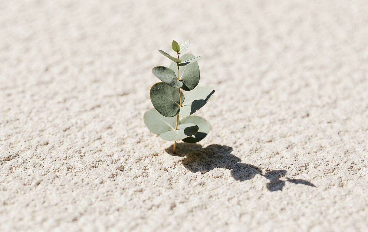 Crecimiento y estabilidad